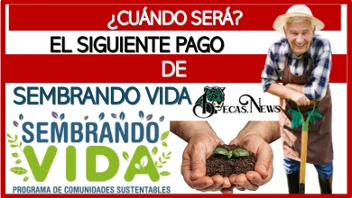 ¿CUÁNDO SERÁ EL SIGUIENTE PAGO DE SEMBRANDO VIDA?