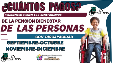 CUÁNTOS PAGOS PENDIENTES TIENEN LOS BENEFICIARIOS DE LA PENSIÓN PARA EL BIENESTAR DE LAS PERSONAS CON DISCAPACIDAD