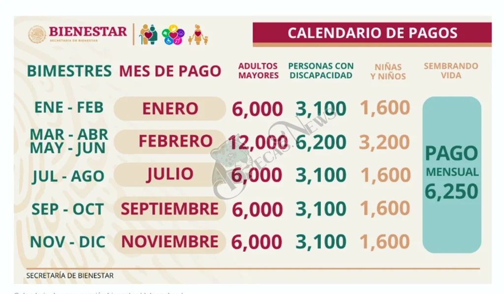 Calendario de pagos oficial de los programas del Bienestar durante el 2024