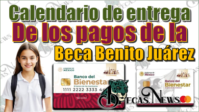 Calendario de entrega de los pagos de la Beca Benito Juárez