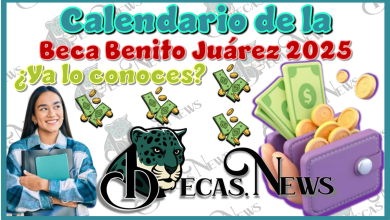 Calendario de la Beca Beca Benito Juárez 2025 | ¿Ya lo conoces?