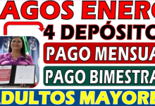 ¿Es Mejor el Pago Mensual o Bimestral de la Pensión del Bienestar?, El Debate sobre la Forma de Pago de la Pensión del Bienestar para Adultos Mayores