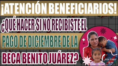 ¿No has recibido el pago de tu Beca Benito Juárez en Diciembre? Sigue estos pasos para solucionarlo