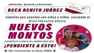 Aumento Confirmado en las Becas Benito Juárez para Alumnos de Nivel Básico en 2025