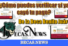 ¿Cómo puedes verificar si ya cayó tu pago de la Beca Benito Juárez?