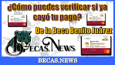 ¿Cómo puedes verificar si ya cayó tu pago de la Beca Benito Juárez?