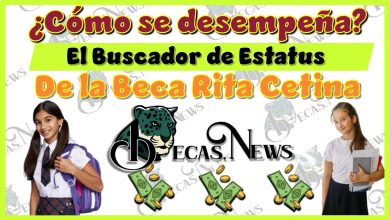 ¿Cómo se desempeña el Buscador de Estatus de la Beca Rita Cetina?