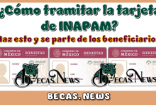 ¿Cómo tramitar la tarjeta de INAPAM? | Haz esto y se parte de los beneficios