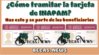 ¿Cómo tramitar la tarjeta de INAPAM? | Haz esto y se parte de los beneficios