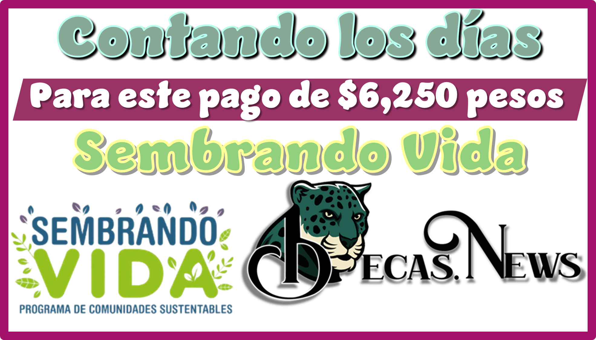 ▷ Contando los días para este pago de $6,250 pesos | Sembrando Vida » 2025 BECAS.NEWS 🥇 Contando los días para este pago de $6,250 pesos | Sembrando Vida