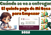 ¿Cuándo se va a entregar el quinto pago de Mi Beca para Empezar?