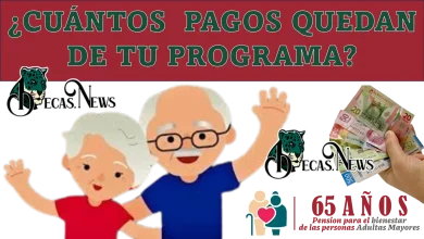 ¿Cuántos pagos quedan de tu programa de la pensión bienestar?