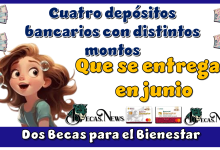 Cuatro depósitos bancarios con distintos montos que se entregan ahora en junio de las dos Becas para el Bienestar