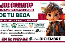 ¿DE CUÁNTO ES EL MONTO QUÉ VAS A RECIBIR DE TU BECA BENITO JUÁREZ EN EL MES DE DICIEMBRE?