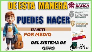 DE ESTA MANERA PUEDE HACER TRÁMITES POR MEDIO DEL SISTEMA DE CITAS 