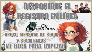 DISPONIBLE EL REGISTRO EN LÍNEA DEL APOYO MENSUAL DE $600, $650 PESOS... MI BECA PARA EMPEZAR... EXCELENTE PROGRAMA SOCIAL 