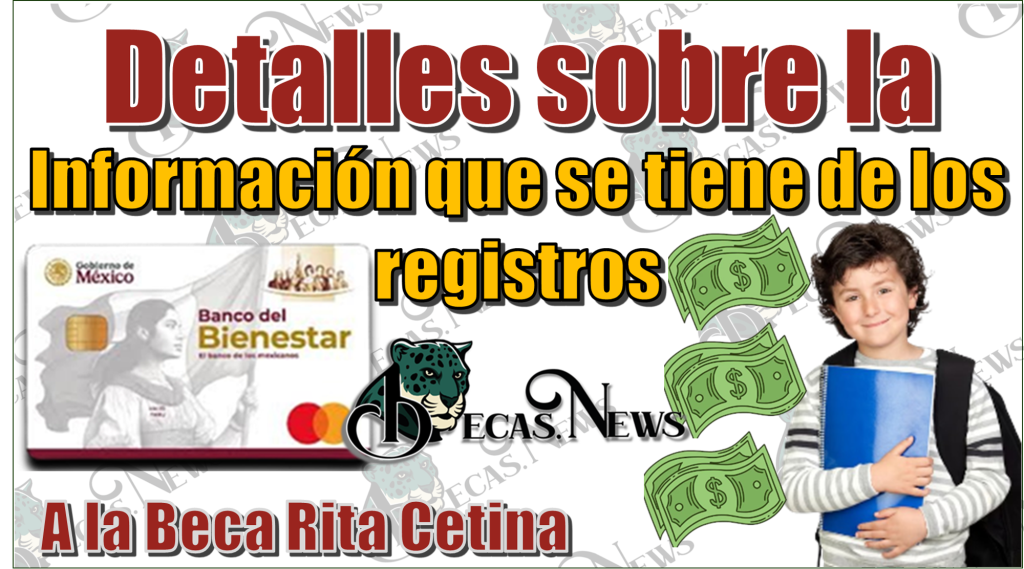Detalles sobre la información que se tiene sobre los registros a la Beca Rita Cetina