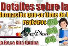 Detalles sobre la información que se tiene sobre los registros a la Beca Rita Cetina