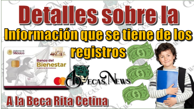 Detalles sobre la información que se tiene sobre los registros a la Beca Rita Cetina