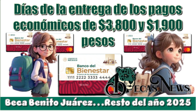 Días de la entrega de los apoyos económicos de $3,800 y $1,900 pesos de la Beca Benito Juárez...Resto del año 2025 