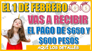 EL 1 DE FEBRERO VAS A RECIBIR EL PAGO DE $600 Y $650 PESOS… AQUÍ LOS DETALLES 