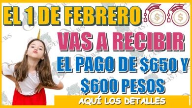 EL 1 DE FEBRERO VAS A RECIBIR EL PAGO DE $600 Y $650 PESOS… AQUÍ LOS DETALLES 