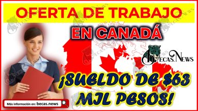 Oferta de Trabajo en Canadá | Vacantes disponibles para mexicanos con prepa ¡con SUELDO de $38 mil pesos!