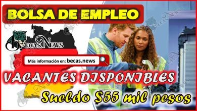https://becas.news/bolsa-de-trabajo/bolsa-de-empleo-alemania-2023-postulate-y-gana-55-mil-pesos/