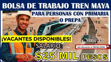 Bolsa de Trabajo Tren Maya para personas con PRIMARIA o PREPA | ¡Vacantes disponibles con sueldos de $25 mil pesos mensuales!