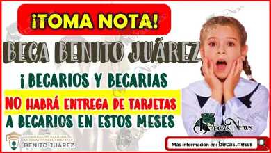Temporalmente Suspendida la Entrega de Tarjetas del Bienestar para Becarios de Benito Juárez 2025