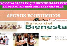 ESTUDIAS O ACABASTE DE INGRESAR A LA UNIVERSIDAD MÁS GRANDE DE MEXICO, TENEMOS BUENAS NOTICIAS PARA TI.