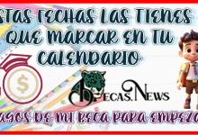 ESTAS FECHAS LAS TIENES QUE MARCAR EN TU CALENDARIO | PAGOS DE MI BECA PARA EMPEZAR 