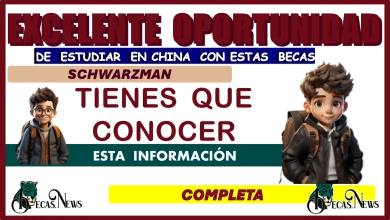 EXCELENTE OPORTUNIDAD DE ESTUDIAR EN CHINA CON ESTAS BECAS SCHWARZMAN TIENES QUE CONOCER ESTA INFORMACIÓN COMPLETA 