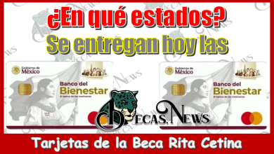 ¿En qué Estados se entregan hoy las tarjetas de la Beca Rita Cetina?