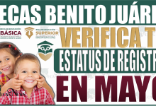 ¡Entérate Ahora! Becas Benito Juárez: Descubre cómo verificar tu Estatus de Registro en Mayo 2024