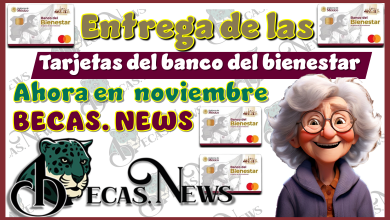 ▷ Entrega de las tarjetas del banco del bienestar | Ahora en noviembre » 2026 BECAS.NEWS 🥇 Entrega de las tarjetas del banco del bienestar | Ahora en noviembre