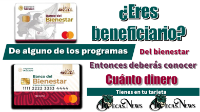 ¿Eres beneficiario de alguno de los programas del bienestar?, entonces deberás conocer cuánto dinero tienes en tu tarjeta