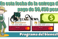 Esta es la fecha de la entrega del pago de $6,450 pesos | Programa del bienestar 