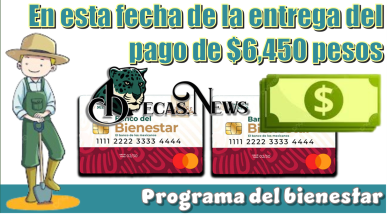 Esta es la fecha de la entrega del pago de $6,450 pesos | Programa del bienestar 