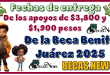 Fechas de entrega de los apoyos de $3,800 y $1,900 pesos de la Beca Benito Juárez 2025