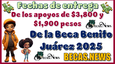 Fechas de entrega de los apoyos de $3,800 y $1,900 pesos de la Beca Benito Juárez 2025