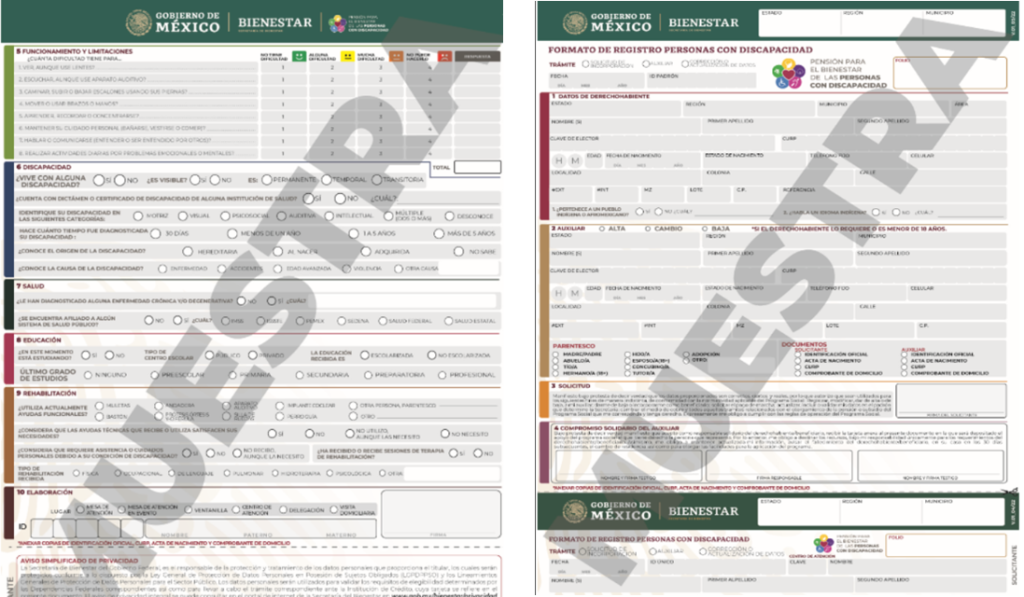 Formato de Registro Personas con Discapacidad