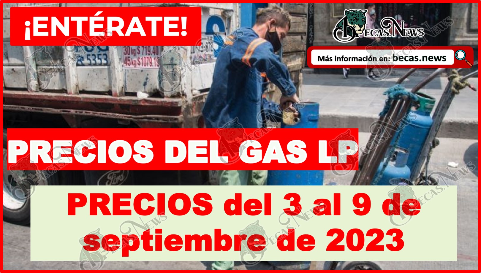¡PRECIOS del gas LP sigue a la BAJA! Costo del 3 al 9 de septiembre 2023