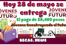 Hoy 28 de mayo se entrega el pago de $8,480 pesos | Jóvenes Construyendo el Futuro