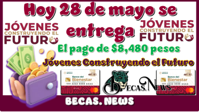 Hoy 28 de mayo se entrega el pago de $8,480 pesos | Jóvenes Construyendo el Futuro