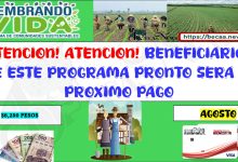 ¡ABRA BENEFICIARIOS QUE CONTARAN CON SU APOYO DE $6,250 PESOS CONOCE QUIENES SON ACÁ TE LO DECIMOS!
