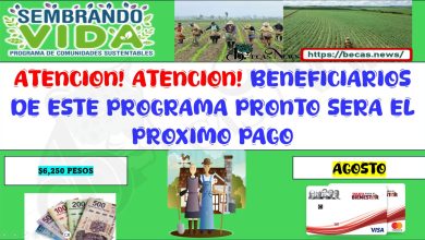 ¡ABRA BENEFICIARIOS QUE CONTARAN CON SU APOYO DE $6,250 PESOS CONOCE QUIENES SON ACÁ TE LO DECIMOS!