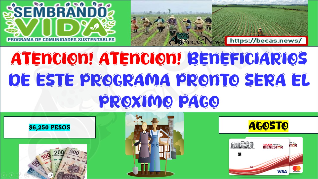 ¡ABRA BENEFICIARIOS QUE CONTARAN CON SU APOYO DE $6,250 PESOS CONOCE QUIENES SON ACÁ TE LO DECIMOS!