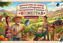 IMPULSO PARA EL CAMPO: Conoce el Programa de Herramientas e Insumos para el Bienestar 