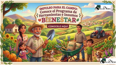 IMPULSO PARA EL CAMPO: Conoce el Programa de Herramientas e Insumos para el Bienestar 